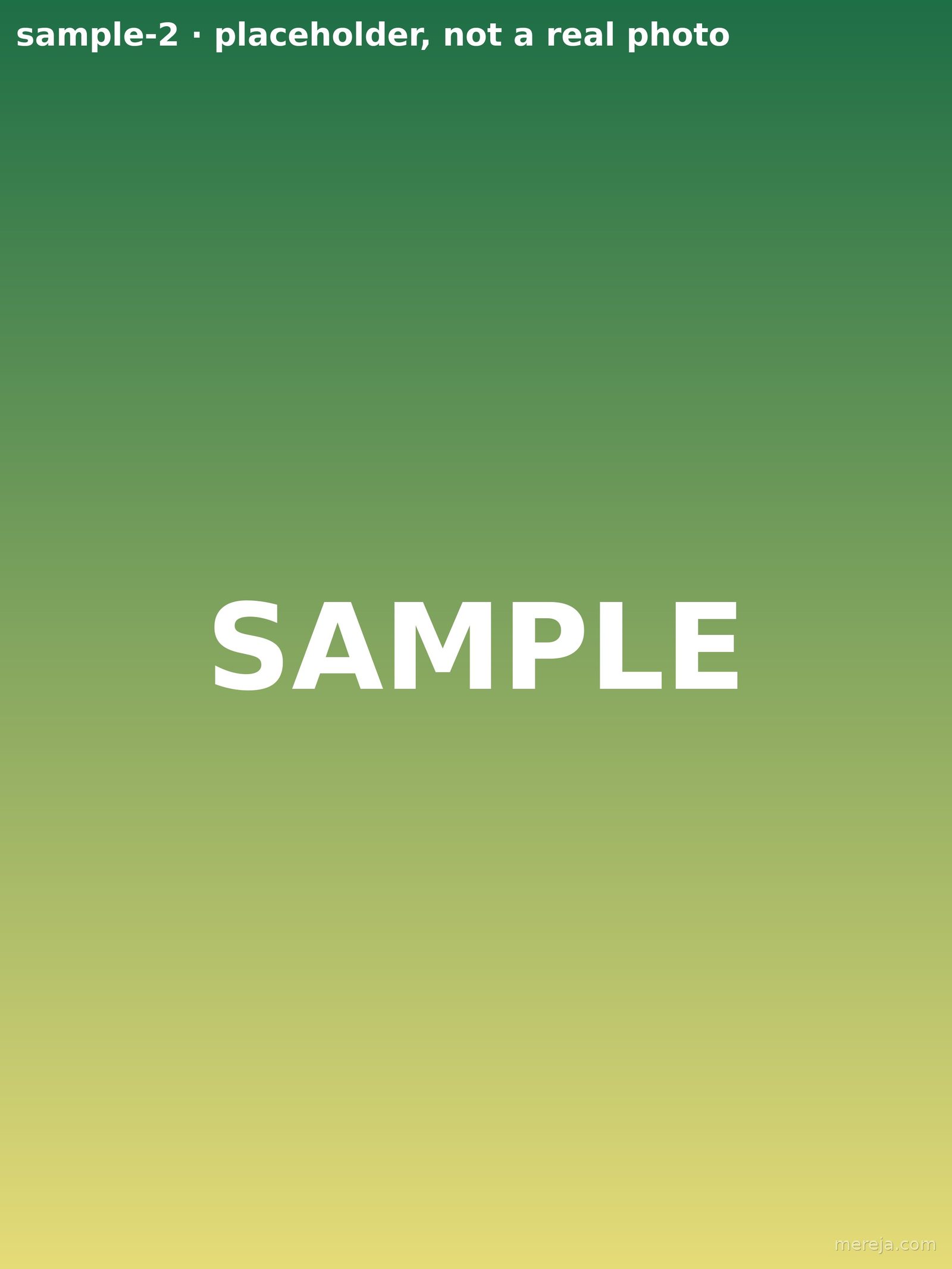 Green-to-yellow gradient placeholder labeled SAMPLE