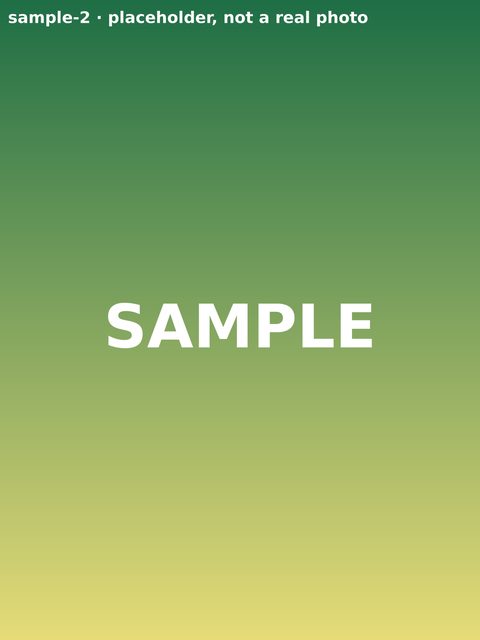 Green-to-yellow gradient placeholder labeled SAMPLE