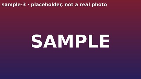 Red-to-purple gradient placeholder labeled SAMPLE