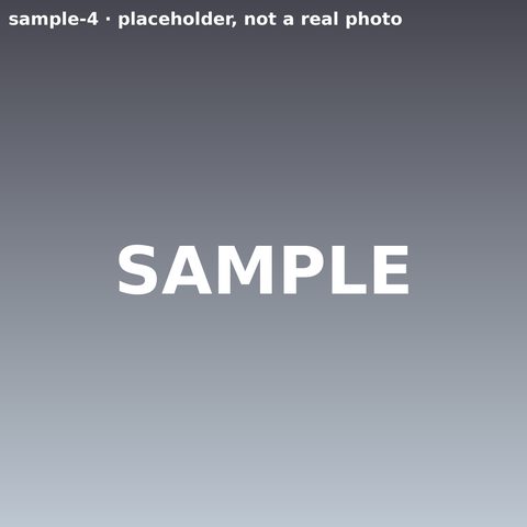 Grey gradient placeholder labeled SAMPLE